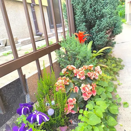 Compass- Super Center Daire