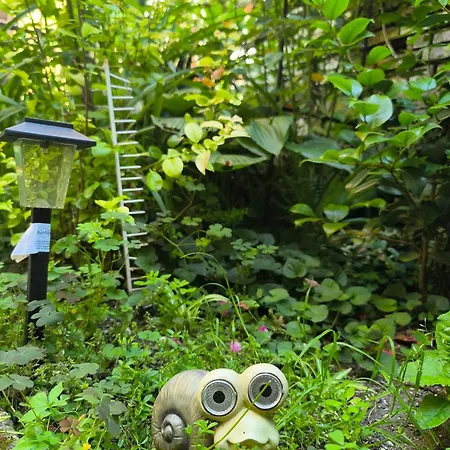 Appartement Compass- Super Center