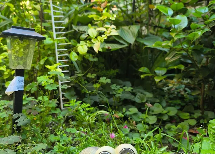 Apartamento Compass- Super Center