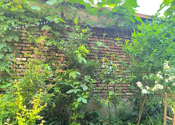 Compass- Super Center