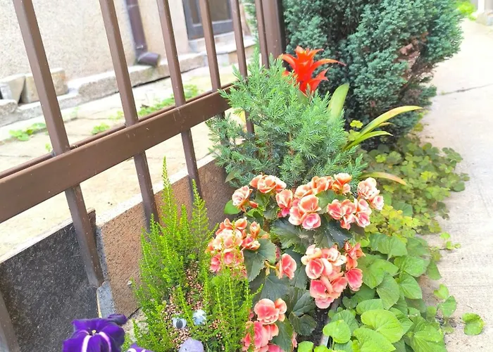 Compass- Super Center Apartamento